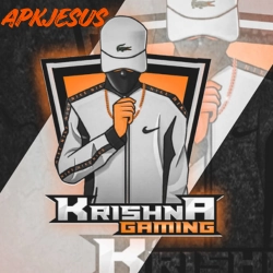 Krishna Gaming Injector